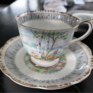 Silver Birch Bone China Teacup & Saucer, in mint condition